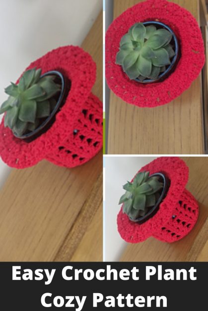 Easy Crochet plant cozy pattern