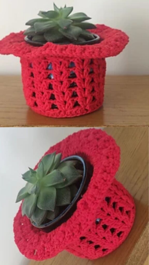 Easy crochet plant cozy