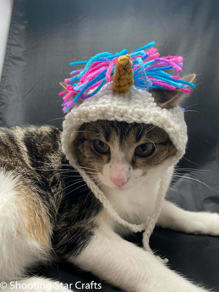 Crochet cat hat free patterns for everyone! 