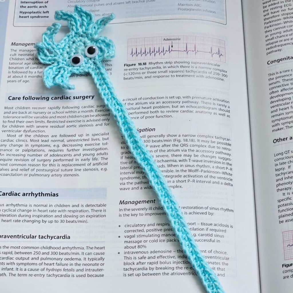 Easy Spider Crochet Bookmark Pattern Free